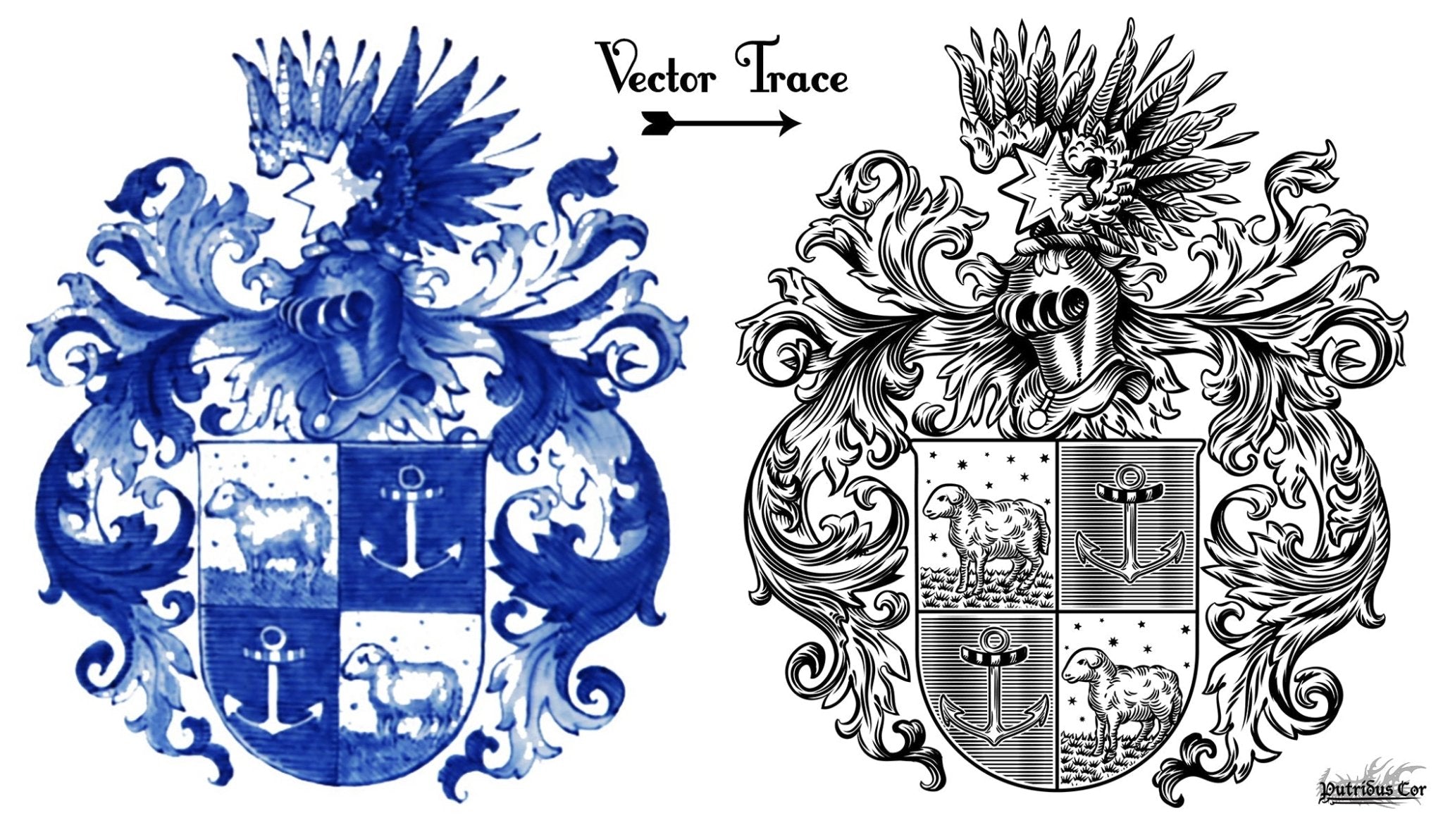 Vector Trace your Heraldry Design, Create your Custom Coat of Arms, Personalized Family Crest, or Emblem Logo, Graphic Design